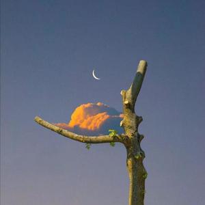 雏田❌自慰爽naruto
