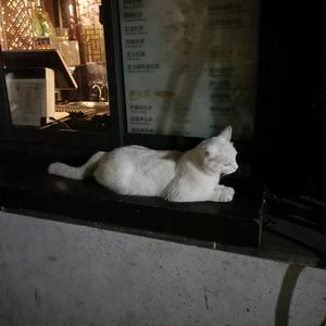 雏田❌自慰爽naruto
